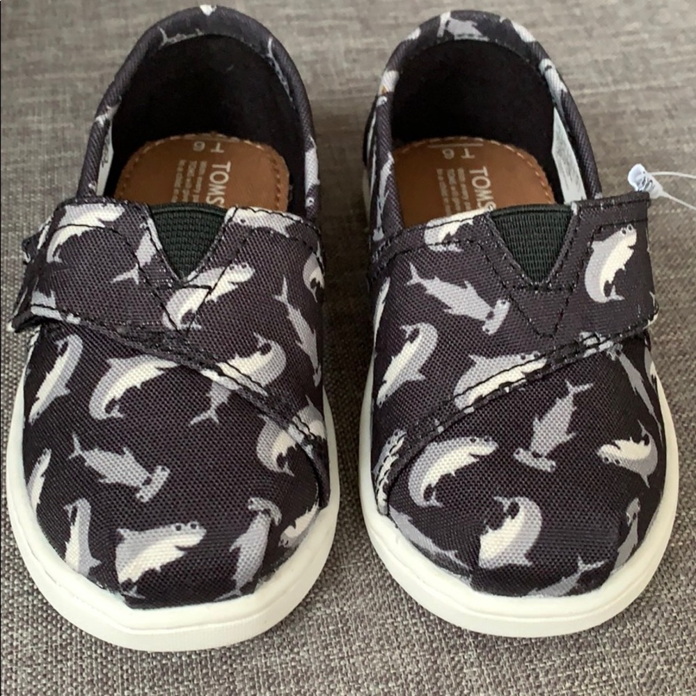 Toms Boys size 6 Sharks Shoes
